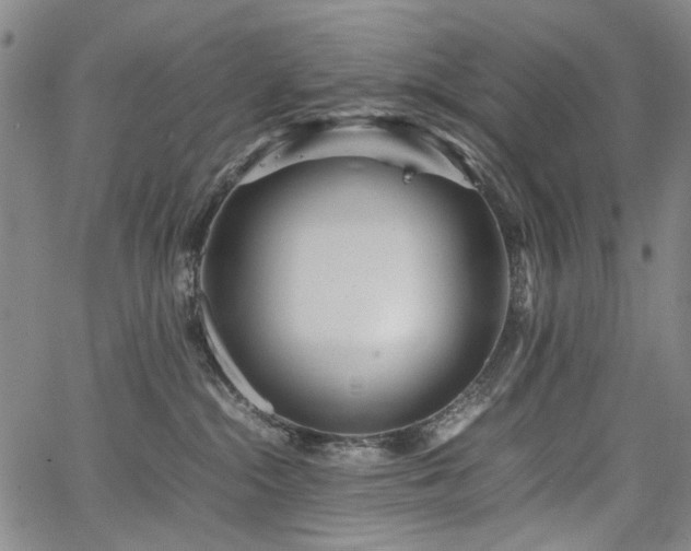 X0000067480284200604071146