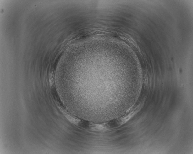 X0000067480285200604071146