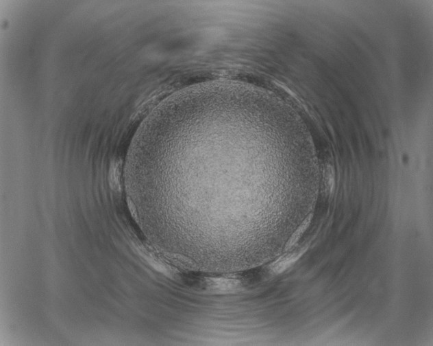 X0000067480286200604071146