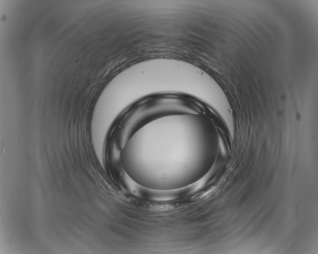 X0000067480287200604071146