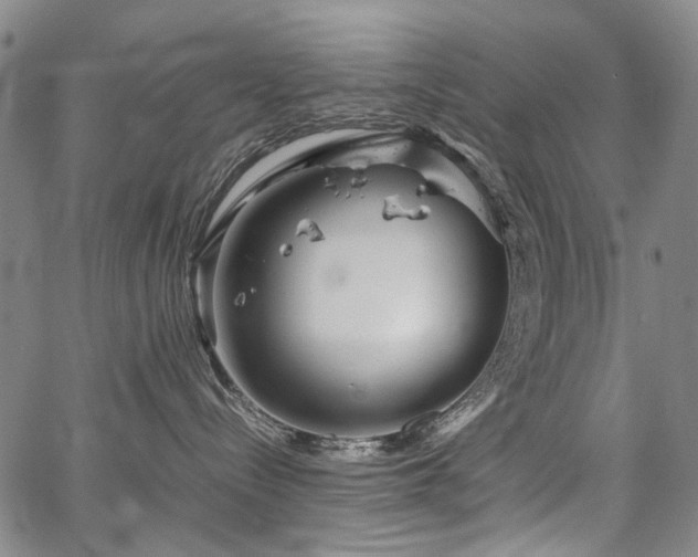 X0000067480288200604071146