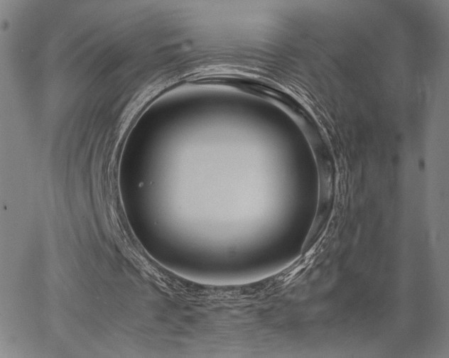 X0000067480289200604071146