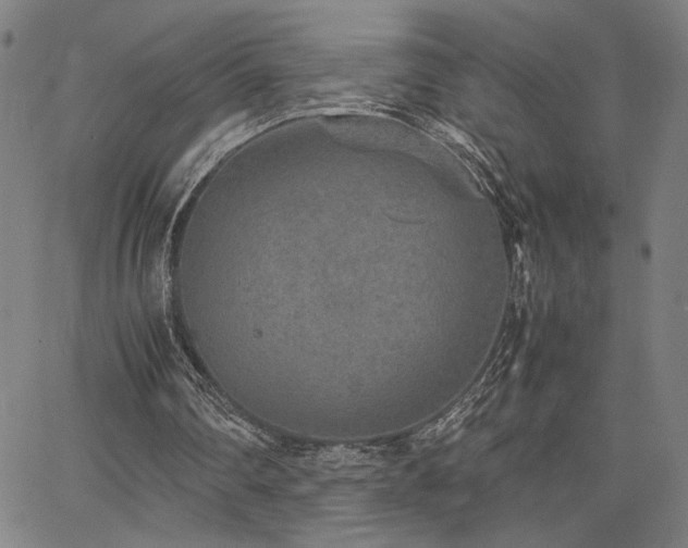 X0000067480290200604071146