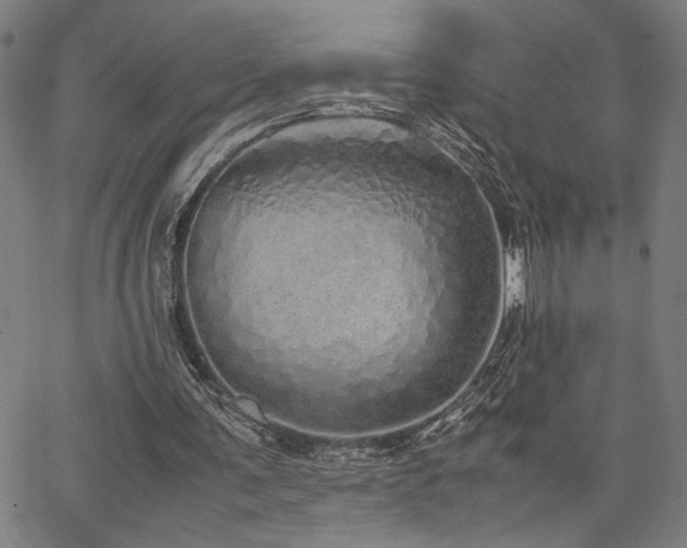 X0000067480291200604071146