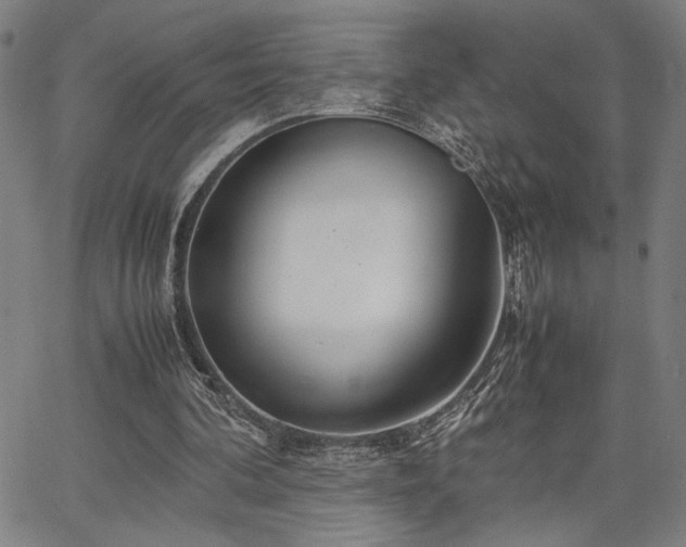 X0000067480292200604071146