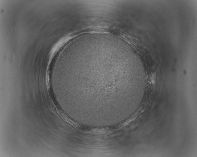 X0000067480294200604071146