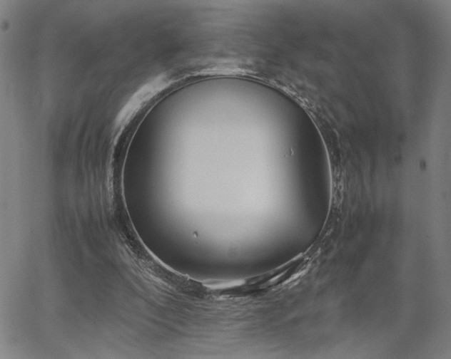 X0000067480296200604071146