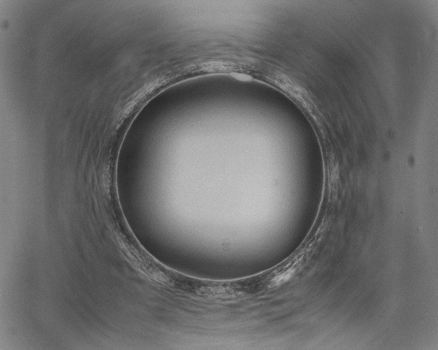 X0000067480297200604071146