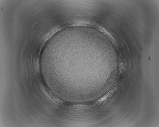 X0000067480298200604071146