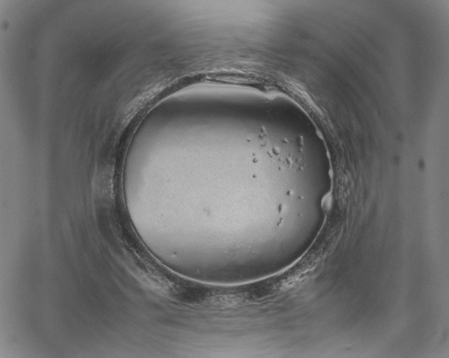 X0000067480299200604071146