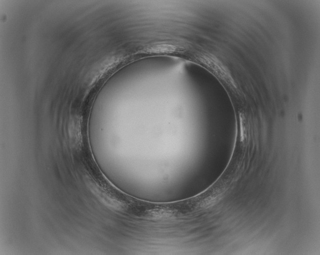 X0000067480300200604071146