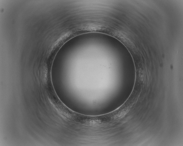 X0000067480304200604071145