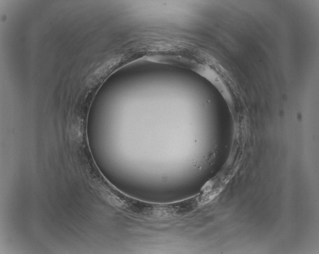 X0000067480305200604071145