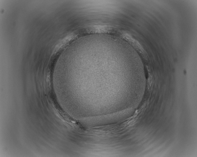 X0000067480306200604071145