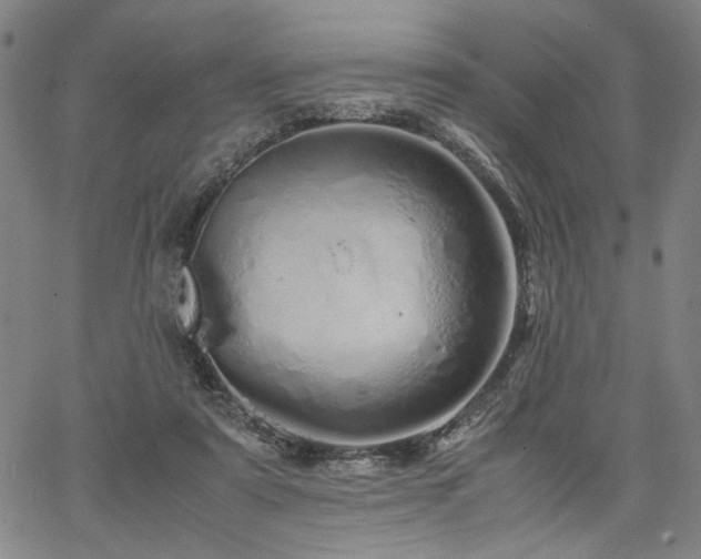 X0000067480307200604071145