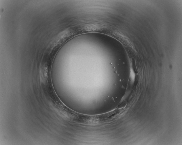 X0000067480308200604071145