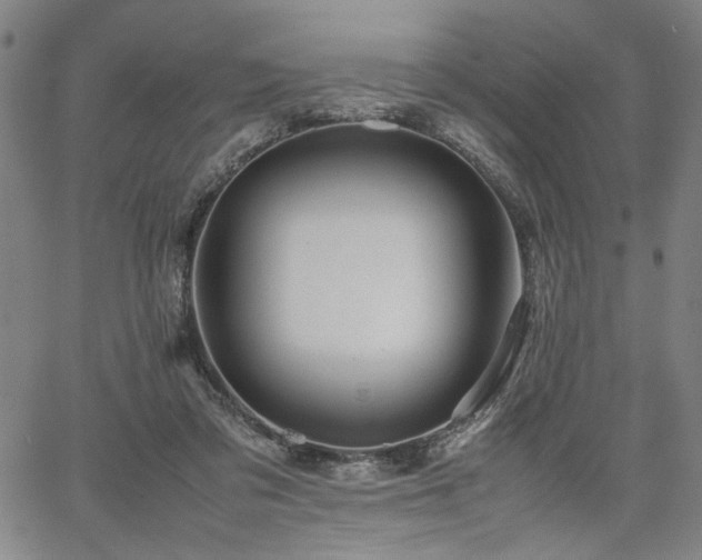 X0000067480309200604071145