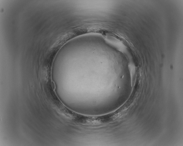 X0000067480311200604071145