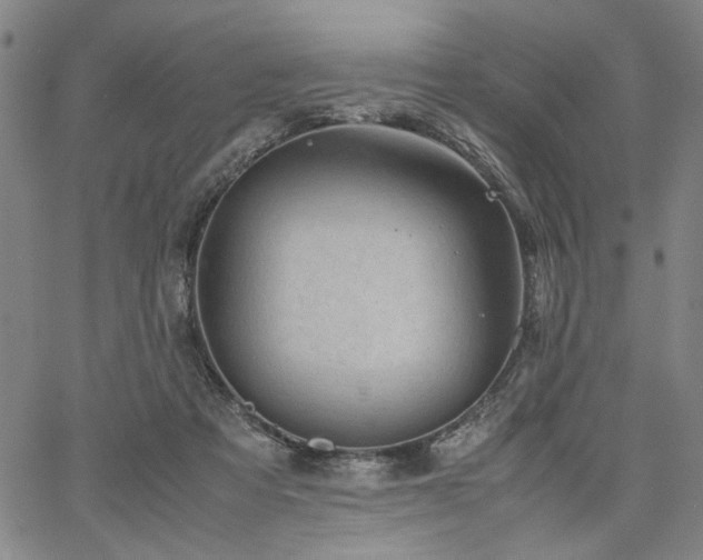 X0000067480313200604071145