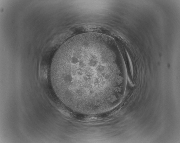 X0000067480315200604071145