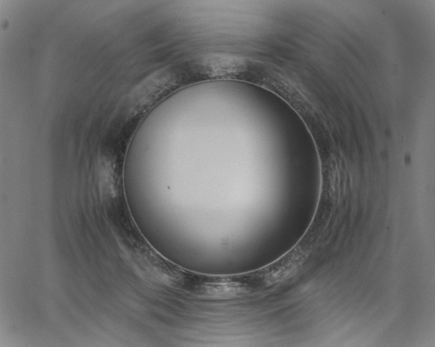 X0000067480316200604071145