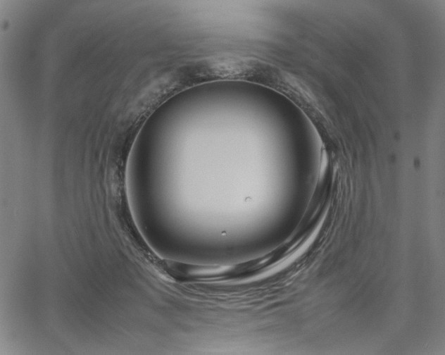 X0000067480317200604071145