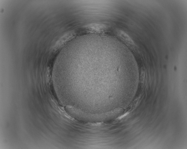 X0000067480318200604071145