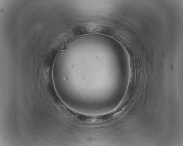 X0000067480319200604071145