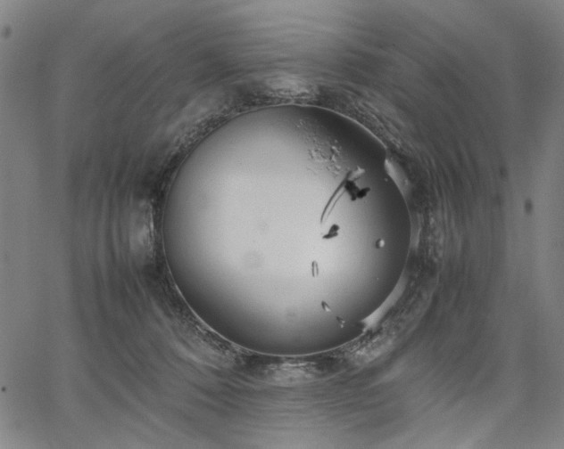 X0000067480320200604071145