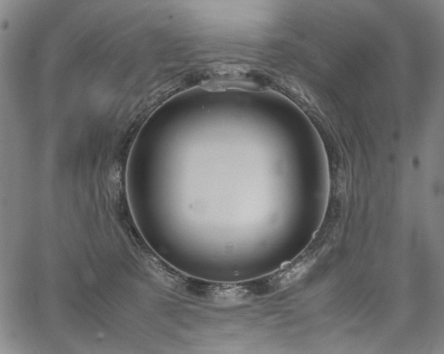 X0000067480321200604071145