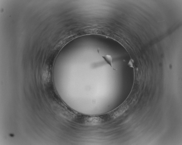 X0000067480324200604071145