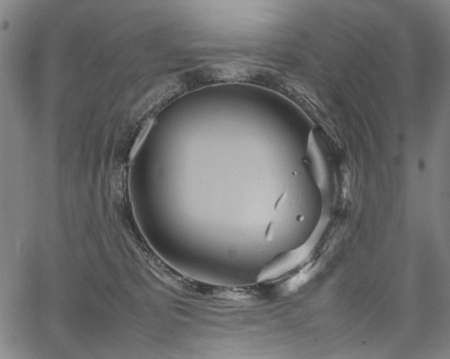 X0000067480325200604071145