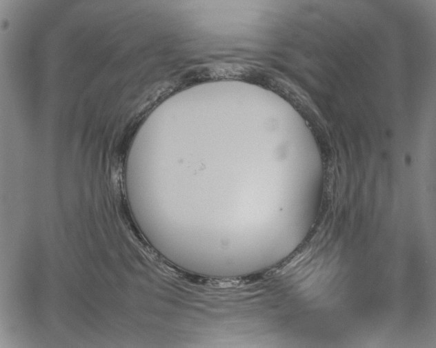 X0000067480329200604071145