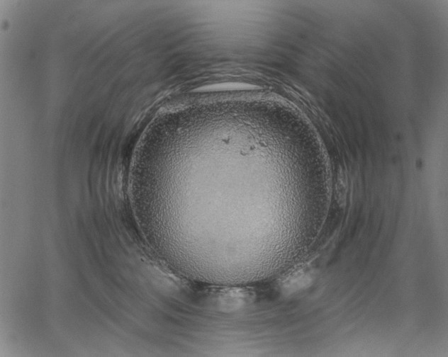 X0000067480330200604071145