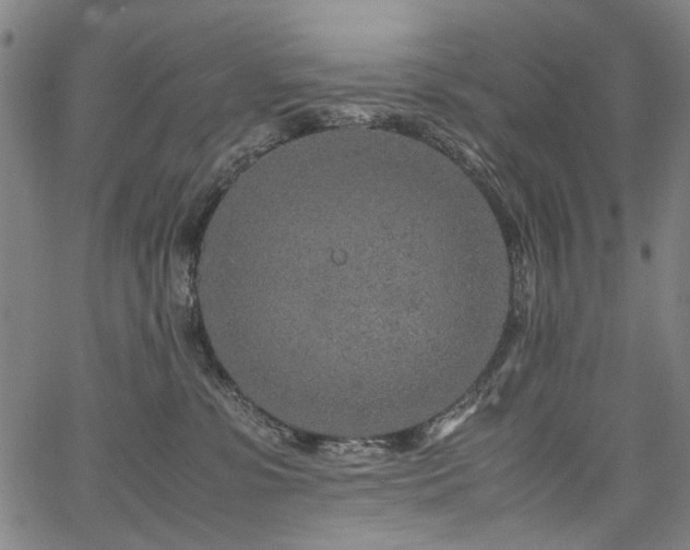 X0000067480331200604071145