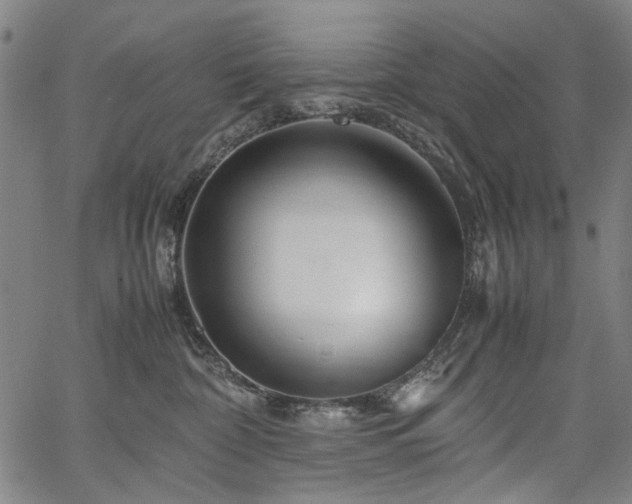 X0000067480332200604071145