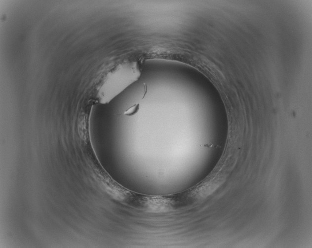 X0000067480336200604071145