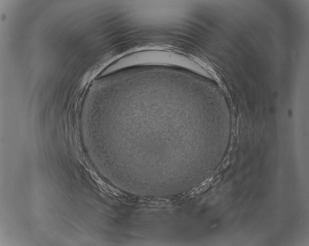 X0000067480337200604071144