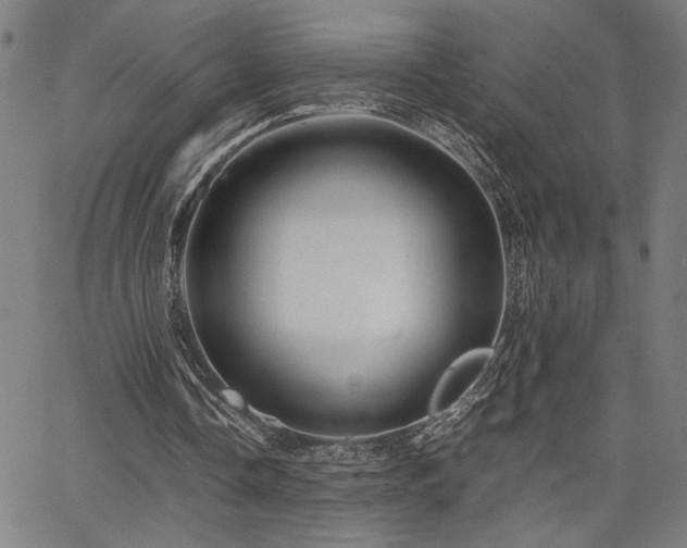 X0000067480338200604071144