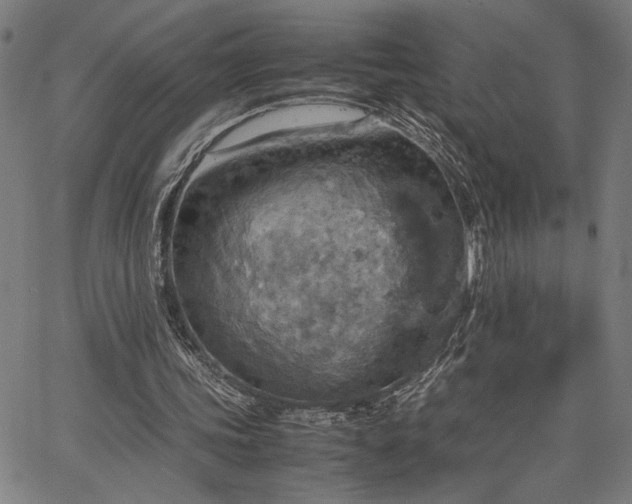 X0000067480339200604071144