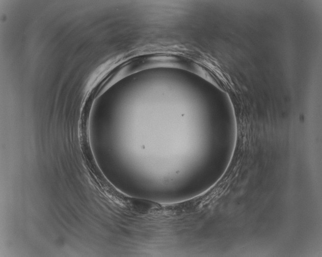 X0000067480340200604071144