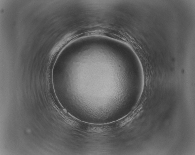 X0000067480341200604071144