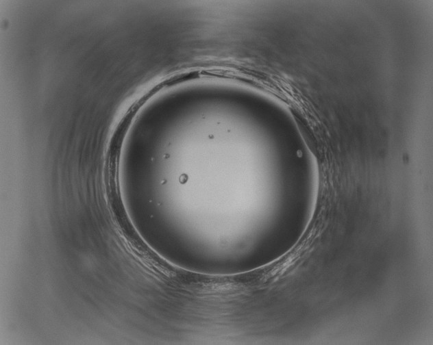 X0000067480342200604071144