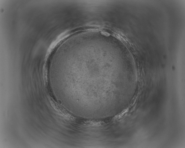 X0000067480343200604071144