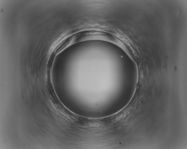 X0000067480344200604071144