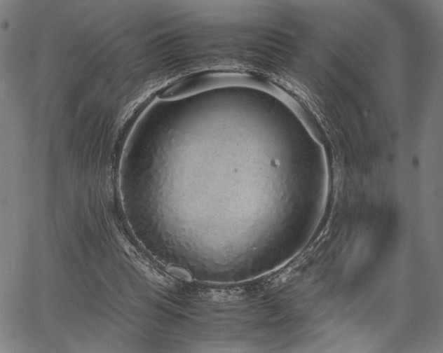 X0000067480345200604071144