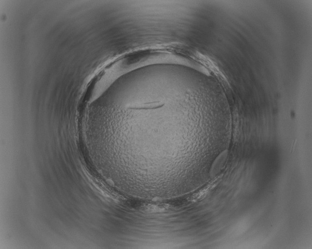 X0000067480346200604071144