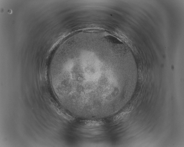 X0000067480347200604071144