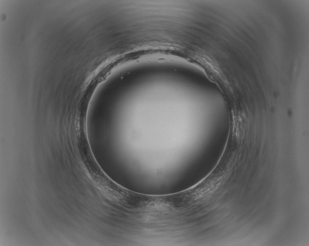 X0000067480348200604071144