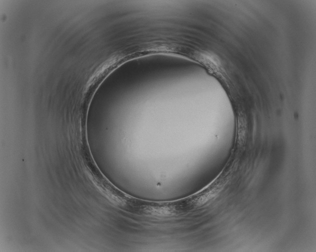 X0000067480349200604071144